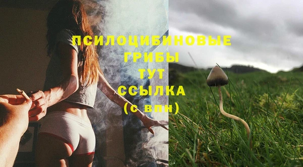 а пвп мука Дрезна