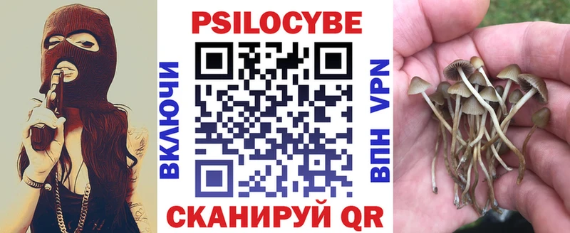 Псилоцибиновые грибы GOLDEN TEACHER магазин Ермолино